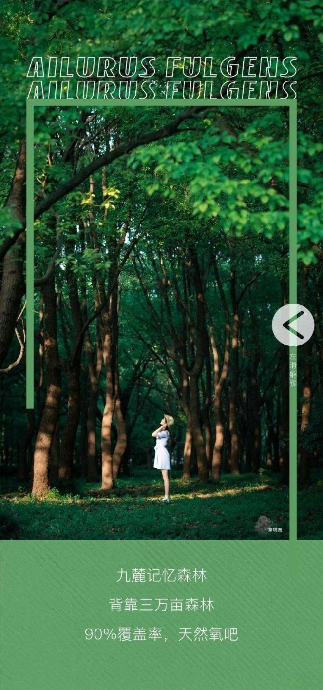 还记得10年前的网红犀利哥吗？他最后怎么样了？游戏画面